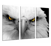 Tableau Moderne Photographique, Impression sur bois, Aigle blanc impérial animal, Yeux jaunes, 97 x 62 cm, ref. 26813