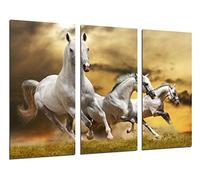 Tableau Moderne Photographique, Impression sur bois, Chevaux blancs, Nature Paysage, Animaux, 97 x 62 cm, ref. 26475