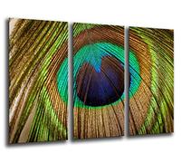 Tableau Moderne Photographique, Impression sur bois, Plumes de paon, 97 x 62 cm, ref. 26234