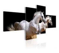 Tableau Imprimé "Monde des Animaux Chevaux au Galop" 45 x 100 cm Multicolore G
