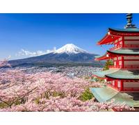 Tableau Mont Fuji Bleu Rose 70x50 DD123043 Tableau sur toile