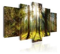 Tableau Morning Awakening-Taille L 200 x H 100 cm Imprimé G