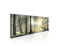 Tableau Morning Forest-Taille L 150 x H 50 cm