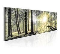 Tableau Morning Forest-Taille L 150 x H 50 cm Imprimé G