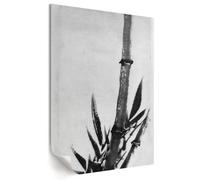 Tableau mural affiche pour le mur du bureau 42x59,5 cm Bambou