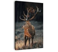 Tableau mural cerf sauvage CEANOTHE - 45x65 cm - Animaux