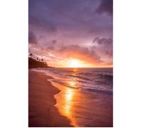 Tableau mural couché de soleil sur plage CEANOTHE - 45x65 cm - Plage