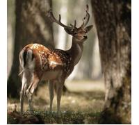 Tableau mural daim nature CEANOTHE GLASSART - 30x30 cm - Animaux