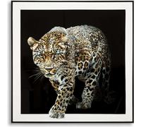 Tableau mural Dipinto 82 x 82 x 4 cm Pin Canvas Multicolore.