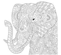 Tableau Mural Éléphant À Colorier CEANOTHE - 30x30 cm - Illustration