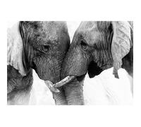 Tableau mural éléphants CEANOTHE - 45x65 cm - Animaux