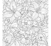 Tableau Mural Fleurs À Colorier CEANOTHE - 30x30 cm - Illustration