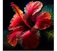 Tableau Mural Hibiscus CEANOTHE - 45x45 cm - Fleur