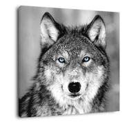 Tableau Mural Loup Aux Yeux Bleus CEANOTHE - 45x45 cm - Animaux