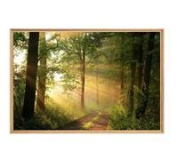 Tableau mural mat encadré rayon de soleil 65x97 cm CEANOTHE Décoration Murale Art Décoratif Muraux Peinture Imprimée en HD Salon Chambre Bureau Fabriqué en France Jaune G