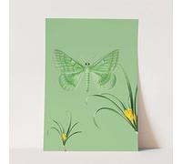 Tableau mural motif papillon vert fleur brins d'herbe design couleur motif sans cadre au format A3
