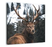 Tableau Mural Regard D'un Cerf CEANOTHE - 45x45 cm - Animaux