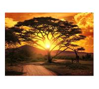 Tableau mural savane au coucher du soleil CEANOTHE - 30x45 cm - Grands espaces