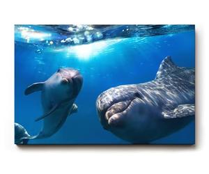 Tableau mural Sinus Art, 120 x 80 cm, les dauphins ont un effet joyeux et accueillant et apportent une énergie maritime à n'importe quelle pièce