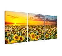 Tableau mural sur toile - 3 pièces - Motif tournesol - Pour maison, salon, cuisine, chambre à coucher, bureau, art moderne, décoration murale nature florale, impression 30.5 x 40.6 cm