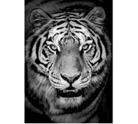 Tableau mural tigre en noir et blanc CEANOTHE - 45x65 cm - Animaux