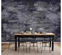 Tableau Noir Dessiné À La Main Noir Et Blanc Formules Mathématiques Créatif Papier Peint 3D Installation Facile Intissé Tapisserie Bureau Salon Canapé Chambre Décoration Murale-300cm×210cm
