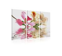 Tableau Orchid with colorful spots-Taille L 120 x H 80 cm