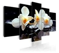 Tableau Imprimé "Orchidée avec un Accent Orange" 50 x 100 cm Multicolore G