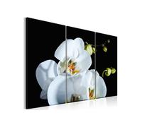 Tableau - Orchidée blanche comme neige - 90x60 Artgeist (8862) https://www.fnac.com/mp43183385/tableau-orchidee-blanche-comme-neige-artgeist-90x60/w-4?oref=42d07f88-159d-0366-4b42-f3f0c3a766c4