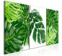 Tableau Palm Leaves (3 Parts)-Taille L 120 x H 60 cm Imprimé G