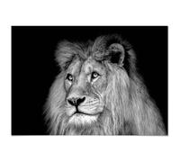 Tableau Panorama Lion Noir et Blanc 100x70 cm - Imprimée sur Toile - Tableau Animaux