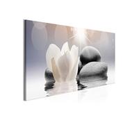 Tableau Pebbles in Water (1 Part) Narrow-Taille L 120 x H 40 cm