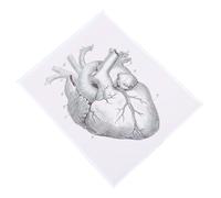 Tableau Pédagogique D’anatomie Cardiaque pour Salle de Consultation | Illustration Éducative, Toile en Fibre Chimique, pour Étudiants, Murs, Hôpital et Centre Médical
