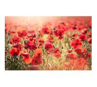 Tableau photo deco sur toile imprimée coquelicots nouveaux, 80x50cm