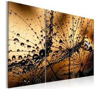 Tableau Pissenlit et rosée-Taille L 60 x H 40 cm Imprimé G