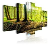 Tableau Poetry of a Forest-Taille L 100 x H 50 cm Multicolore G