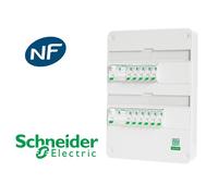 Tableau précâblé 10 disj + 2 ID Schneider Resi9 XP à vis