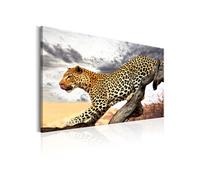 Tableau - Predatory Stare - 120x80 (7855)