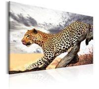 Tableau - Predatory Stare - 90x60 Artgeist (7854)