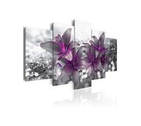 Tableau Princess of the Night-Taille L 100 x H 50 cm Imprimé G