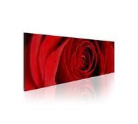 Tableau - Rose du Nord - 135x45 (6403)