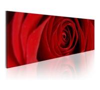 Tableau - Rose du Nord - 135x45 Artgeist (6403) Rose G