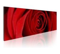 Tableau Rose du Nord-Taille L 120 x H 40 cm Imprimé G