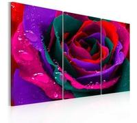 Tableau Rose irisée-Taille L 60 x H 40 cm Imprimé G