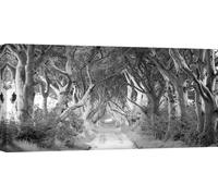 Tableau route entre les arbres, tableaux toile - The Dark Hedges, Irlande (BW) - 100x50 cm