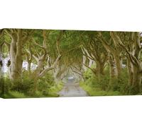 Tableau Route entre les arbres, toiles - The Dark Hedges, Irlande - 120x60 cm