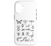 Tableau Scientifique des espèces d'insectes Entomologie Histoire Naturelle Coque pour iPhone 16