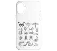 Tableau Scientifique des espèces d'insectes Entomologie Histoire Naturelle Coque pour iPhone 16 Plus