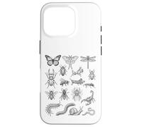 Tableau Scientifique des espèces d'insectes Entomologie Histoire Naturelle Coque pour iPhone 16 Pro