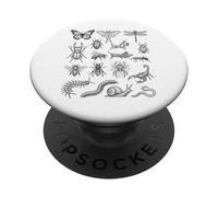 Tableau Scientifique des espèces d'insectes Entomologie Histoire Naturelle PopSockets PopGrip Adhésif
